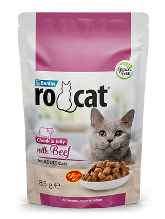 Pouch Wet Cat Food Rocat